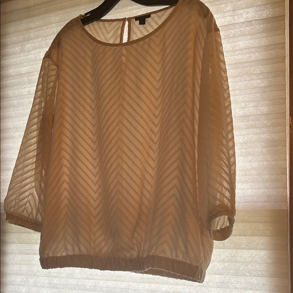 Ann Taylor Sheer Beige Blouse